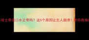 哈士奇流口水正常吗这5个原因让主人崩溃附自救指南