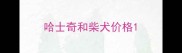 哈士奇和柴犬价格