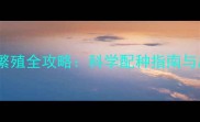 哈士奇与土狗繁殖全攻略科学配种指南与后代养护要点