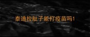 泰迪拉肚子能打疫苗吗