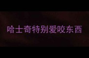 哈士奇特别爱咬东西