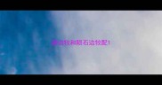 黑边牧和陨石边牧配