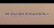 满月小狗可以吃蛋吗科学喂养指南与营养配比全