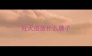 狂犬疫苗什么牌子