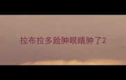 拉布拉多脸肿眼睛肿了