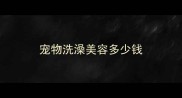 宠物洗澡美容多少钱