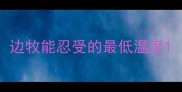 边牧能忍受的最低温度