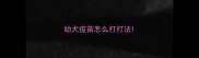 幼犬疫苗怎么打打法