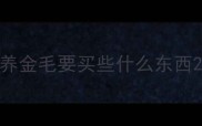 养金毛要买些什么东西