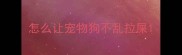 怎么让宠物狗不乱拉屎