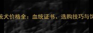 哈士奇双血统犬价格全血统证书选购技巧与饲养成本指南