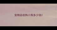 宠物店收购小狗多少钱
