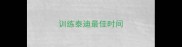 训练泰迪最佳时间