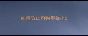 如何防止狗狗得细小