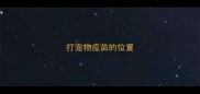 打宠物疫苗的位置