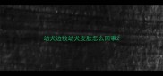 幼犬边牧幼犬皮肤怎么回事