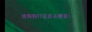 给狗狗打疫苗去哪里