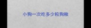 小狗一次吃多少粒狗粮
