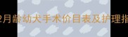 泰迪断尾费用全2月龄幼犬手术价目表及护理指南附风险提示