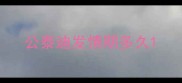 公泰迪发情期多久