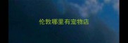 伦敦哪里有宠物店