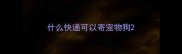 什么快递可以寄宠物狗