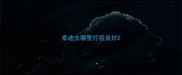 泰迪去哪里打疫苗好