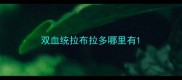 双血统拉布拉多哪里有