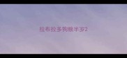 拉布拉多狗粮半岁