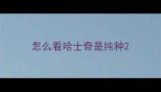 怎么看哈士奇是纯种