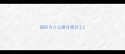 猫咪为什么睡在猫砂上