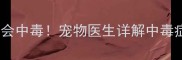 狗狗误食板蓝根会中毒宠物医生详解中毒症状与急救措施