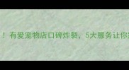 益阳宠物店推荐TOP1有爱宠物店口碑炸裂5大服务让你家毛孩幸福感爆棚