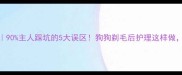 剃毛后护理全攻略90主人踩坑的5大误区狗狗剃毛后护理这样做皮毛秒变健康油亮
