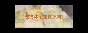 宠物沐浴露保质期