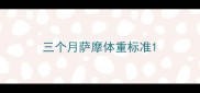 三个月萨摩体重标准