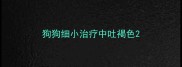 狗狗细小治疗中吐褐色