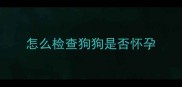 怎么检查狗狗是否怀孕