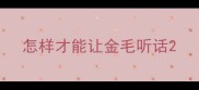 怎样才能让金毛听话