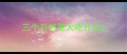 三个月柯基犬吃什么