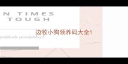 边牧小狗领养码大全