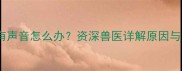 猫咪睡觉喘气有声音怎么办资深兽医详解原因与家庭护理指南