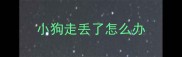 小狗走丢了怎么办