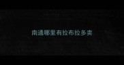 南通哪里有拉布拉多卖