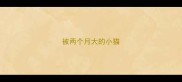 被两个月大的小猫