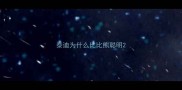 泰迪为什么比比熊聪明
