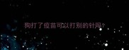 狗打了疫苗可以打别的针吗