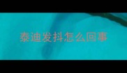 泰迪发抖怎么回事
