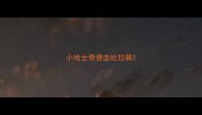 小哈士奇便血吐拉稀