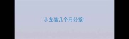 小龙猫几个月分笼